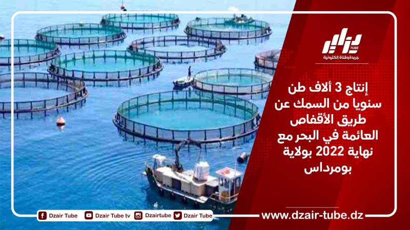 إنتاج 3 ألاف طن سنويا من السمك عن طريق الأقفاص العائمة في البحر مع نهاية 2022 بولاية بومرداس
