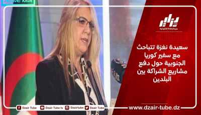 سعيدة نغزة تتباحث مع سفير كوريا الجنوبية حول دفع مشاريع الشراكة بين البلدين