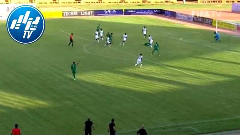 بالفيديو : هدف ماندي الثاني في مرمى النيجر