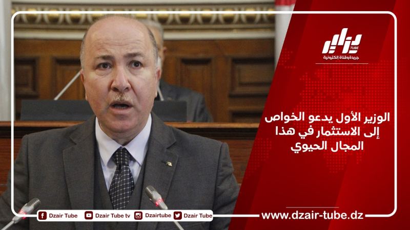 الوزير الأول يدعو الخواص إلى الاستثمار في هذا المجال الحيوي