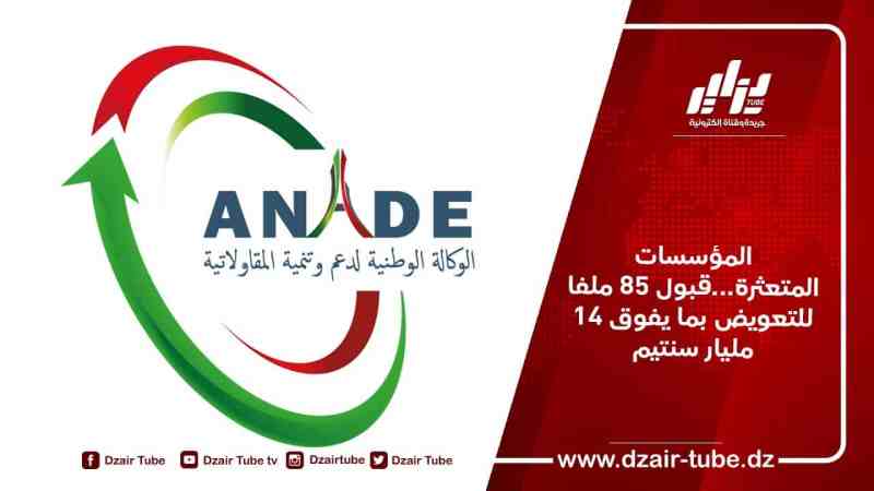 المؤسسات المتعثرة…قبول 85 ملفا للتعويض بما يفوق 14 مليار سنتيم