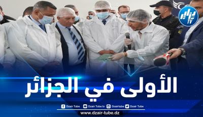 سعيا منها لخفض الأسعار وغزو السوق الخارجية… كوندور تطلق أول وحدة لتصنيع شاشات التلفاز بالجزائر