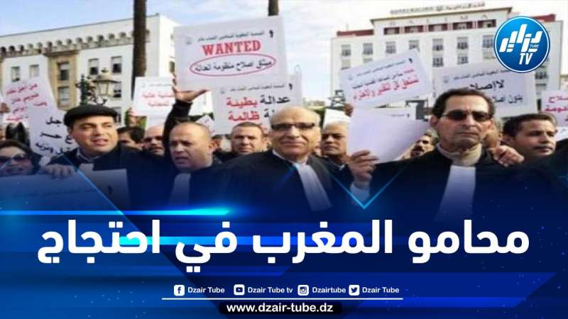 محاومو المغرب يشاركون في وقفات احتجاجية للمطالبة بتحسين ظروف عملهم