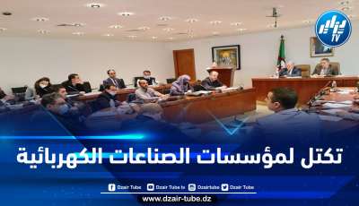 مساعي لإنشاء تكتل للمؤسسات الناشطة في الصناعات الكهربائية