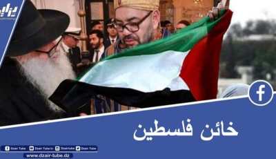 بالفيديو…شاهد كيف علق الصحفي معمر ڨاني على خيانة ملك المغرب لفلسطين والعرب