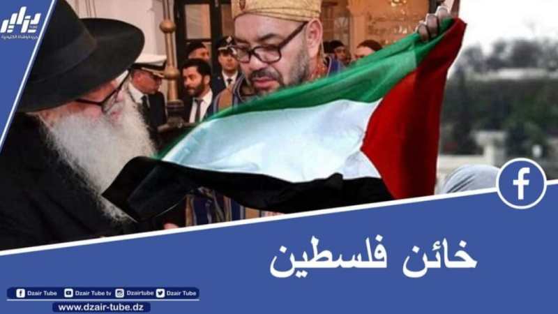 بالفيديو…شاهد كيف علق الصحفي معمر ڨاني على خيانة ملك المغرب لفلسطين والعرب