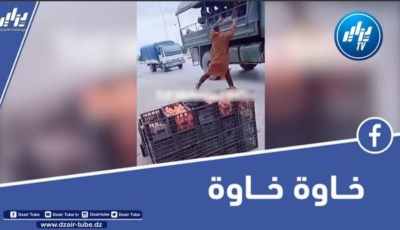 شاهد الفيديو الذي تفاعل معه الجزائريون بقوة عبر مواقع التواصل الاجتماعي… جيش شعب خاوة خاوة
