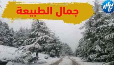 مشهد رائع لتساقط الثلوج بجبال البابور شمال ولاية سطيف