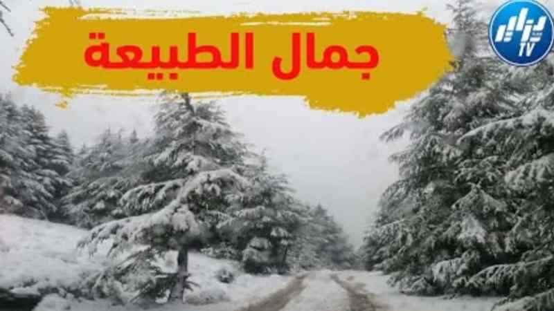 مشهد رائع لتساقط الثلوج بجبال البابور شمال ولاية سطيف