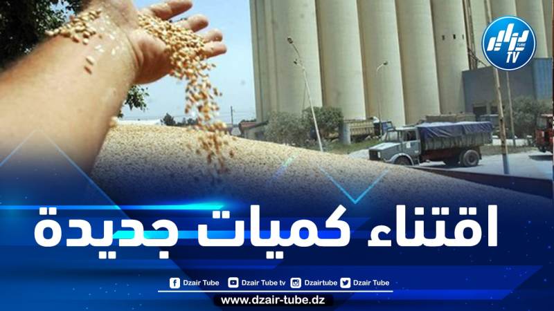 الجزائر تشتري 600 ألف طن من القمح في مناقصة دولية