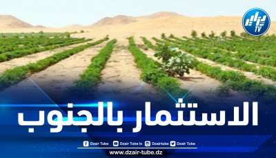 وزارة الفلاحة: إيداع 350 ملف للاستثمار في الزراعات الصناعية بالجنوب