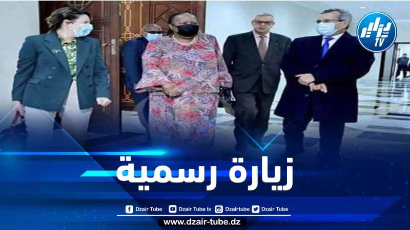 وزيرة خارجية جنوب إفريقيا تحل اليوم بالجزائر في زيارة رسمية
