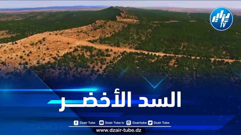 وزير الفلاحة يعرض مستجدات إعادة تأهيل وتوسيع السد الأخضر