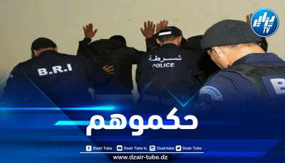 الشلف: الإطاحة بمروجي المؤثرات العقلية وحجز 115 قرص مهلوس