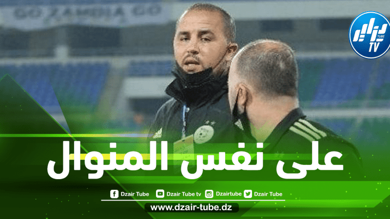 على طريقة بلماضي…3 أسباب وراء نجاح بوقرة مع الخضر