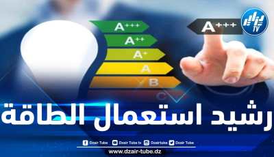إقامة تعاون بين التمويل العمومي والخاص لدعم قطاع النجاعة الطاقوية