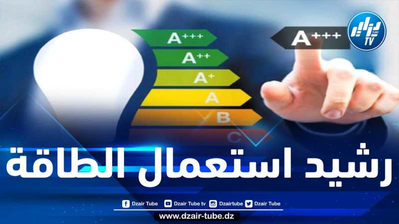 إقامة تعاون بين التمويل العمومي والخاص لدعم قطاع النجاعة الطاقوية