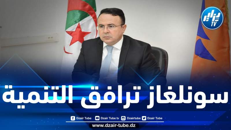 سونلغاز تضع استراتيجية للمرافقة الطاقوية للمشاريع التنموية بالولايات الجديدة