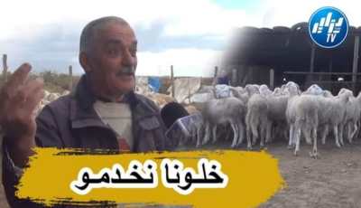 بالفيديو…شاهد مربو الأبقار والمواشي يطالبون بتسوية وضعيتهم العالقة في بوخميرة سيدي سالم بعنابة