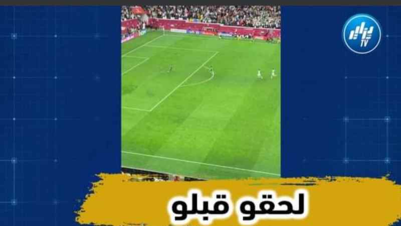 بالفيديو…شاهد ماذا حصل في دكة بدلاء الخضر قبل هدف ياسين براهيمي