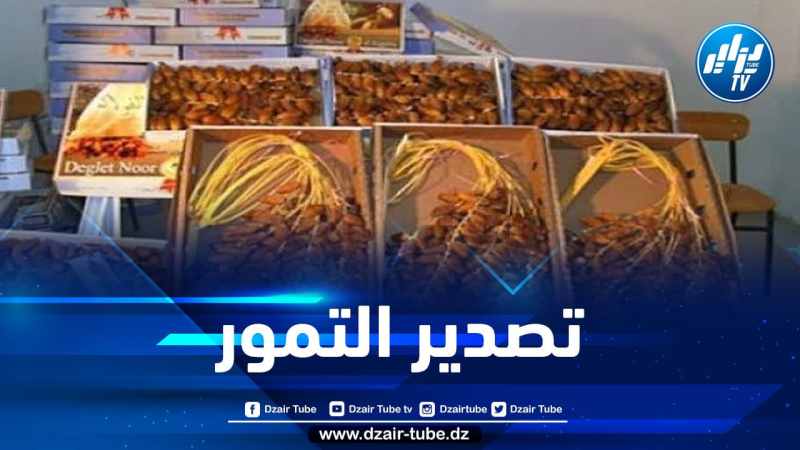 تصدير كمية معتبرة من التمور الجزائرية نحو 3 دول قريبا