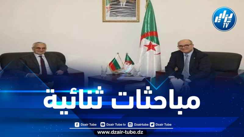 مباحثات جزائرية بلغارية حول تعزيز الشراكة في الطاقات المتجددة