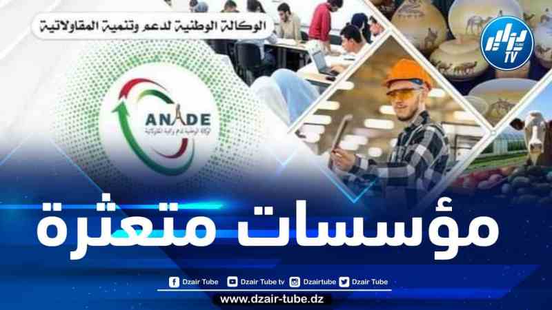 تسجيل أكثر من 15 ألف مؤسسة مصغرة متعثرة