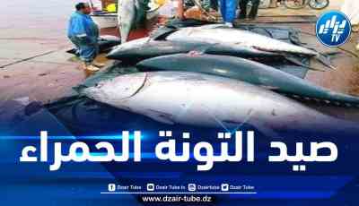 تعديل القرار الوزاري المنظم لحملة صيد التونة الحمراء
