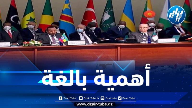 الرئيس تبون: الجزائر تولي اهتماما كبيرا للشراكة الإفريقية -التركية