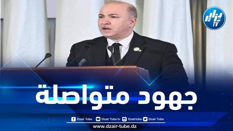 الوزير الأول: نعمل على توفير أكثر من 16 مليون بطاقة دفع إلكتروني إلى غاية 2024