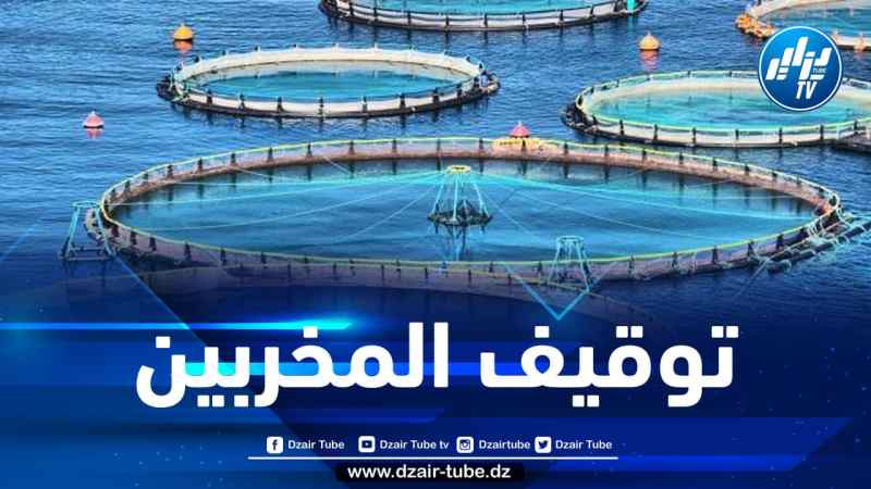 الشلف: توقيف 11 شخصا في قضية تخريب وسرقة الأحواض المائية بالمرسى