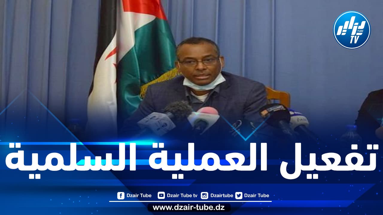 دبلوماسي صحراوي: جبهة البوليساريو مستعدة للتعاون مع الأمم المتحدة والاتحاد الافريقي للتوصل إلى حل دائم للنزاع في الصحراء الغربية