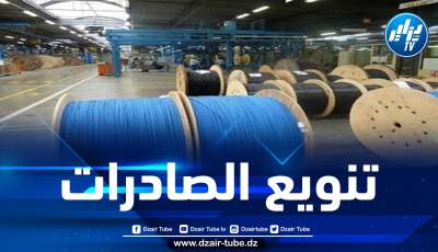 مستغانم: تصدير 4 ملايين يورو من الكوابل الكهربائية إلى السنغال