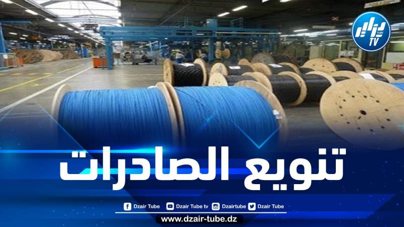 مستغانم: تصدير 4 ملايين يورو من الكوابل الكهربائية إلى السنغال