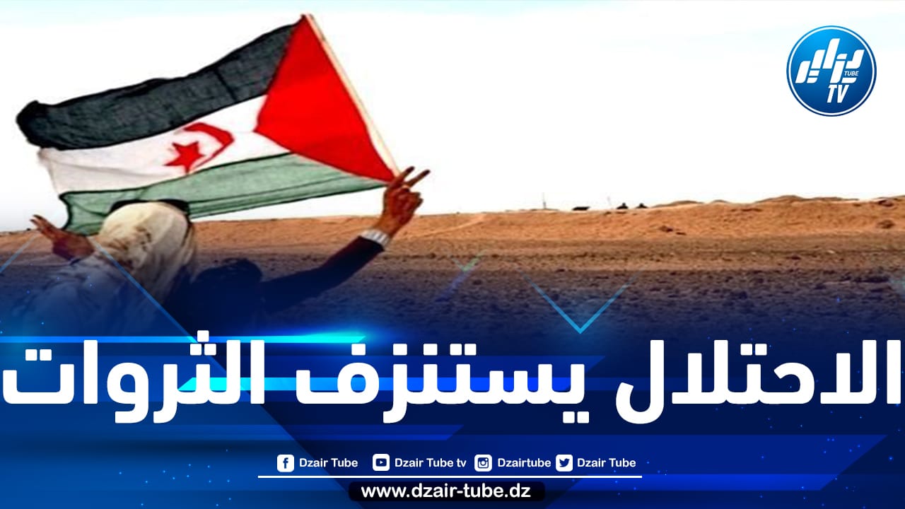 المخزن يستمر في نهب الموارد الطبيعية للصحراء الغربية بشكل علني