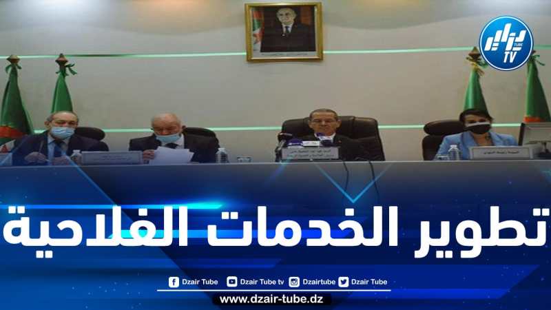 هني: نظام الإحصائيات و تجسيد عمليات الرقمنة أداة هامة لصنع القرار