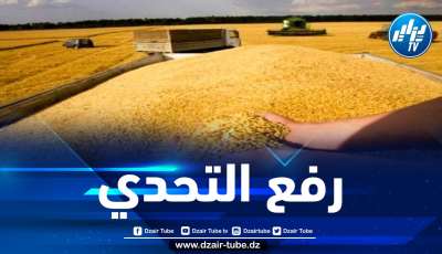 الجزائر تعتزم تقليص وارداتها من الحبوب بـ 25 بالمئة خلال هذا الموسم