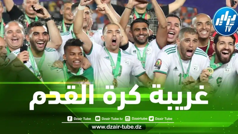 مفاجأة…لاعب جزائري وحيد في التشكيلة المثالية لبطولة كأس أمم إفريقيا 2022 !!
