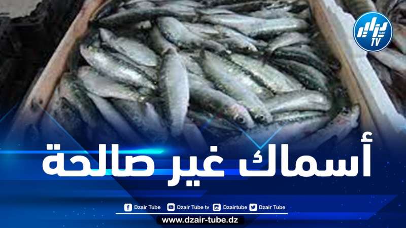 مستغانم: حجز 18 قنطار من الأسماك المجمدة غير صالحة للإستهلاك