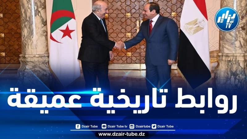 الرئيس المصري يعرب عن تقدير مصر البالغ للروابط التاريخية التي تجمعها مع الجزائر