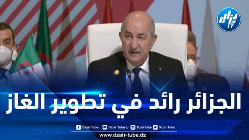 الرئيس تبون: الجزائر كانت رائدة في تطوير الغاز الطبيعي