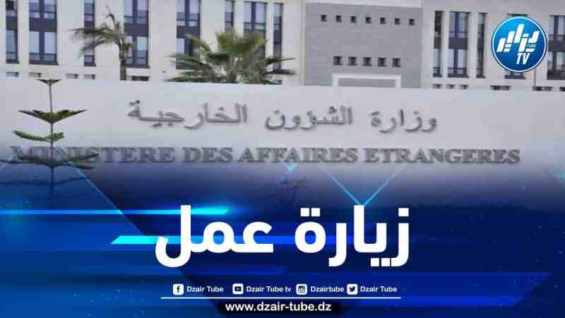 نائب وزير الشؤون الخارجية لجمهورية هندوراس في زيارة للجزائر