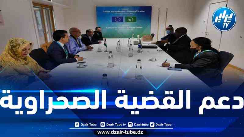 اتفاق بين الرئيسين الصحراوي والجنوب إفريقي على تقوية العلاقات الثنائية