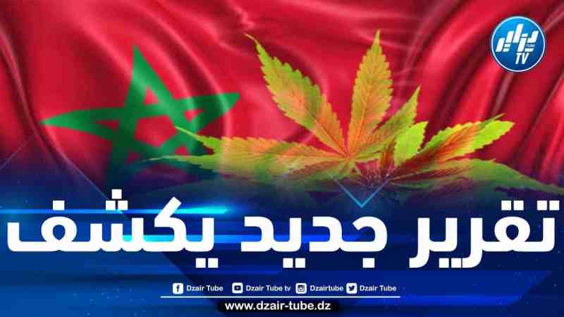 هكذا ينتقل الكيف المغربي باتجاه أوروبا