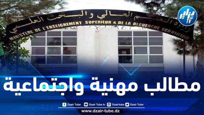 الاتحادية الوطنية للتعليم العالي تطالب بمراجعة معايير التأهيل الجامعي للأساتذة الباحثين والباحثين الدائمين