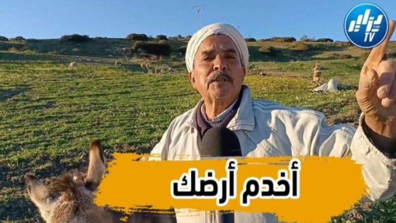 بالفيديو… شاهد أقوى رسالة ستسمعها من فلاح بالشلف يوجه الشباب بهذه الكلمات وينصحهم بالابتعاد عن الهجرة الغير الشرعية…