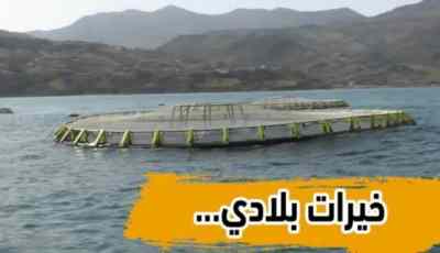 بالفيديو…شاهد الشلف مفخرة الصيد البحري … و الوزير يقف على الإنجازات المحققة