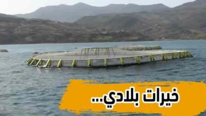 بالفيديو…شاهد الشلف مفخرة الصيد البحري … و الوزير يقف على الإنجازات المحققة