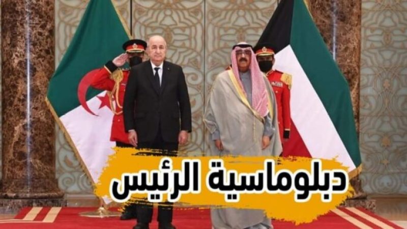 بالفيديو…الصحفي معمر ڨاني : الدبلوماسية الجزائرية عادت بقوة بفضل الرئيس تبون