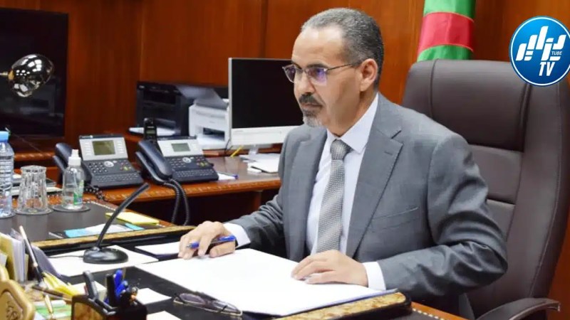 الوزير سبقاق…. تلقينا ضمانات لإعادة برمجة بطولة إفريقيا لكرة اليد